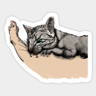 bite cat Sticker